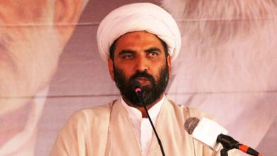 حکومت زائرین امام حسینؑ کے مسائل کوترجیحی بنیادوں پر حل کرے