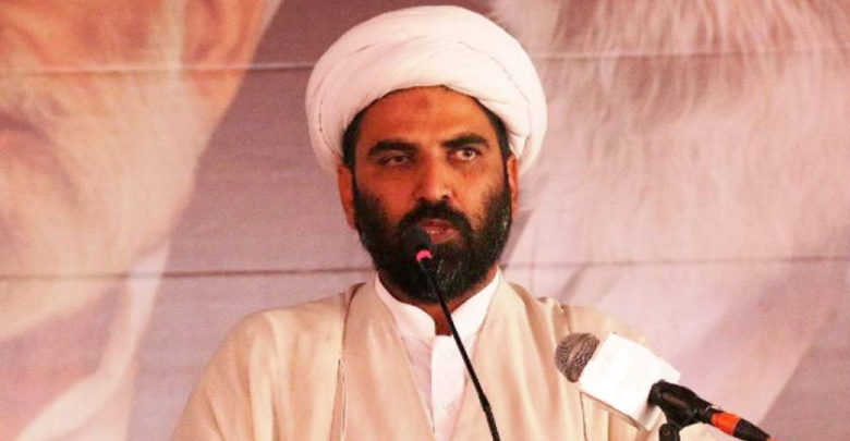 حکومت زائرین امام حسینؑ کے مسائل کوترجیحی بنیادوں پر حل کرے