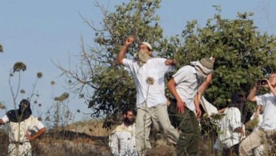 صیہونیوں کا فلسطینی کسانوں پر حملہ، غزہ گذرگاہ سے تاجر گرفتار
