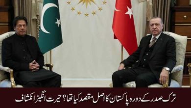 ترک صدر کےدورہ پاکستان کا اصل مقصد کیا تھا؟ حیرت انگیز انکشاف