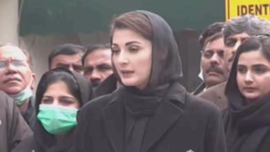 مریم نواز