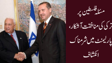 مسئلہ فلسطین پر ترکی کی منافقت آشکار ہوگئی، پارلیمنٹ میں شرمناک انکشاف