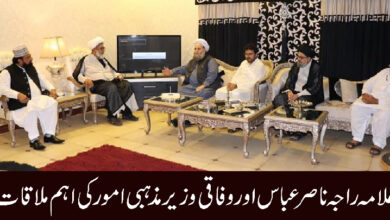 علامہ راجہ ناصر عباس سے وفاقی وزیر مذہبی امور کی اہم ملاقات