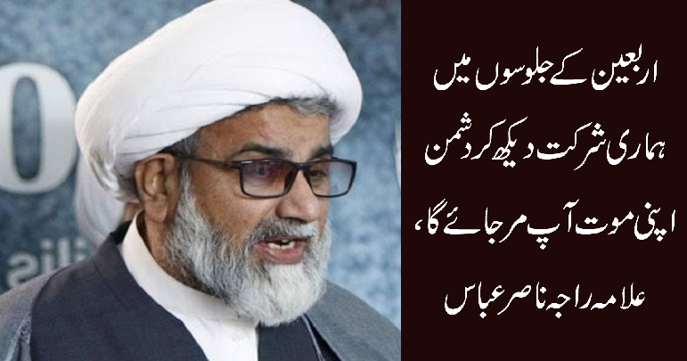 اربعین کے جلوسوں میں ہماری شرکت دیکھ کر دشمن اپنی موت آپ مر جائے گا
