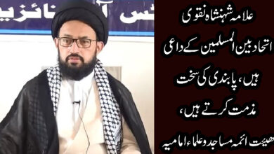 علامہ شہنشاہ نقوی اتحاد بین المسلمین کے داعی ہیں, پابندی کی سخت مذمت کرتے ہیں