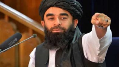 افغانستان کی حمایت پر پاکستان کے مشکور ہیں، طالبان وزیر