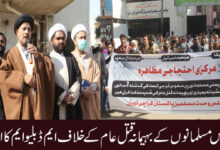 یمن میں مسلمانوں کے قتل عام کے خلاف ایم ڈبلیو ایم کا احتجاج