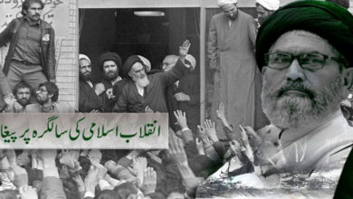 انقلاب اسلامی ایران، عالم اسلام اور انسانیت کا ترجمان انقلاب ہے