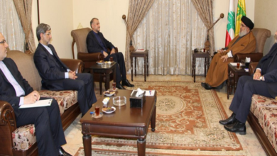 ایرانی وزیر خارجہ کی سید حسن نصراللہ سے ملاقات