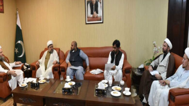 مجلس وحدت مسلمین کے وفد کی وفاقی وزیر مذہبی امورپیر نور الحق قادری سے ملاقات
