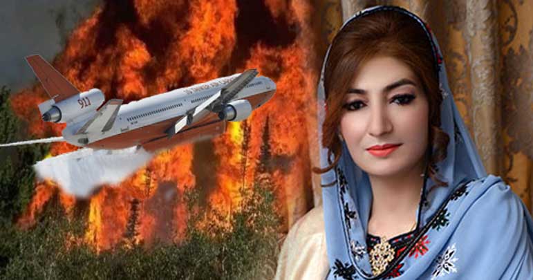 ایران کے فائر فائٹنگ طیارے کی مدد سےبلوچستان کے جنگلات کی آگ پر قابو پالیا گیا