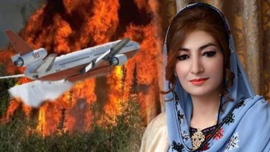 ایران کے فائر فائٹنگ طیارے کی مدد سےبلوچستان کے جنگلات کی آگ پر قابو پالیا گیا