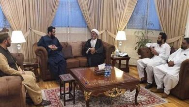 شیعہ علماء کونسل کے وفد کی ن لیگ کےصوبائی وزیر سے ملاقات