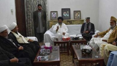 سربراہ ملی یکجہتی کونسل کی سربراہ شیعہ علماء کونسل سے ملاقات