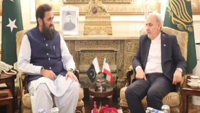 ایران سفیر کی گورنر پنجاب سے ملاقات، دو طرفہ تعلقات پر تبادلہ خیال
