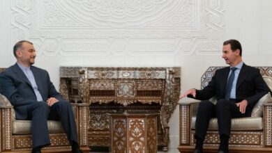 ایران سخت ایام میں شام کے ساتھ تھا اور نئے حالات میں بھی شام کے ساتھ ہے
