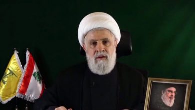 وحشی جانور