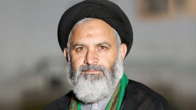 Allama Syed Ali Rizvi