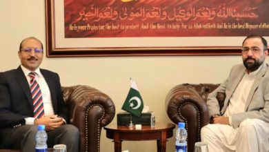 Chaudhry Salik Hussain meeting with Pakistani ambassador in Iraq