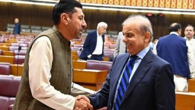 MNA Engineer Hameed Hussain meets PM Shehbaz Sharif