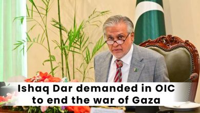 Ishaq Dar demanded in OIC to end the war of Gaza