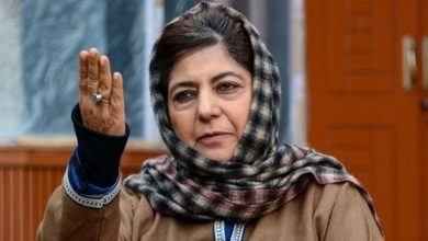 President Peoples Democratic Party, Kashmir, Mehbooba Mufti