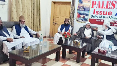 Allama Arif Wahidi meets various Sunni scholars and discusses the situation in the country and the region