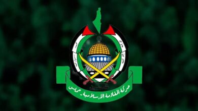 سلفیت