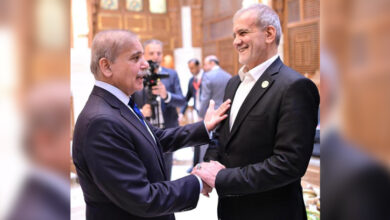 On Sunday, May 25, Prime Minister of Pakistan Shehbaz Sharif will pay an official visit to Iran.