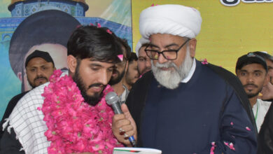 سید یاور