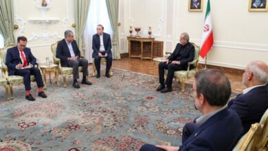 Ayatollah Seyyed Ali Khamenei's wise leadership is a source of pride for the entire Islamic Ummah, Mohsin Naqvi