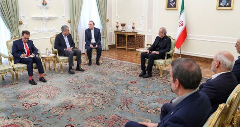 Ayatollah Seyyed Ali Khamenei's wise leadership is a source of pride for the entire Islamic Ummah, Mohsin Naqvi