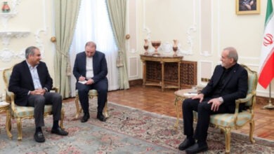Interior Minister Mohsin Naqvi meets with Iranian President Dr. Masoud Peshkeshian