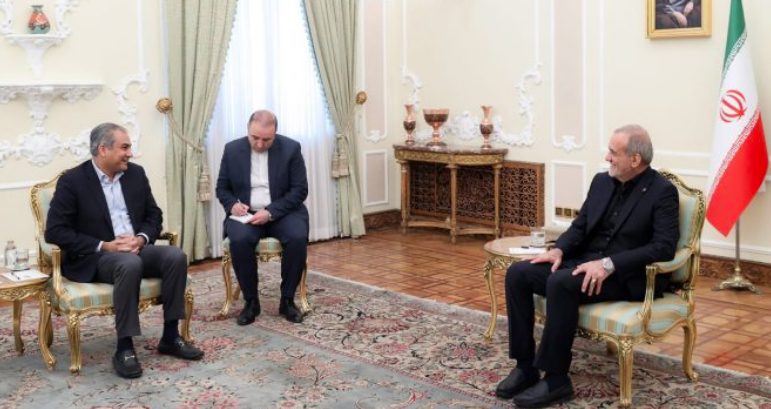Interior Minister Mohsin Naqvi meets with Iranian President Dr. Masoud Peshkeshian