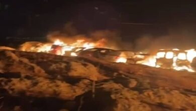 آبادکاروں
