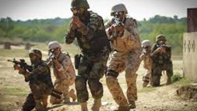 دہشت