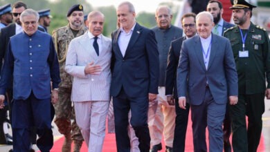 Iranian President's visit to Pakistan, results and goals